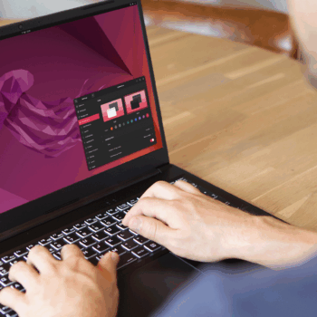 Custom Linux Distribution